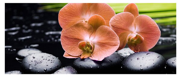Tablou - Orhidee portocalie cu frunze de palmier (120x50 cm)