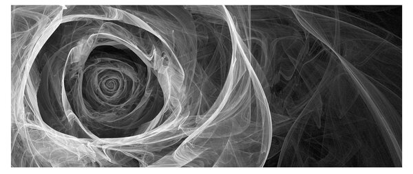 Tablou - Abstract trandafir negru și alb (120x50 cm)