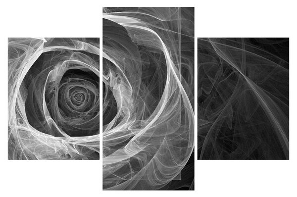 Tablou - Abstract trandafir negru și alb (90x60 cm)