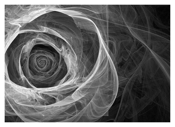 Tablou - Abstract trandafir negru și alb (70x50 cm)
