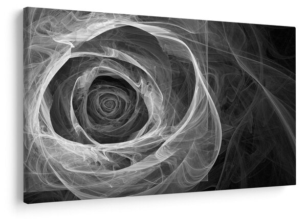 Tablou - Abstract trandafir negru și alb (90x60 cm)