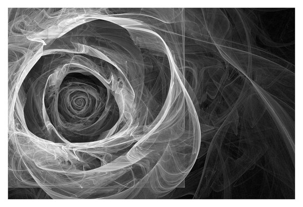 Tablou - Abstract trandafir negru și alb (90x60 cm)
