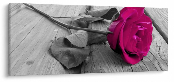 Tablou - Trandafir roz (120x50 cm)