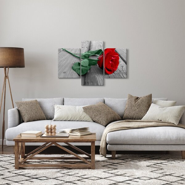 Tablou - Trandafir roșu cu tulpină verde (90x60 cm)