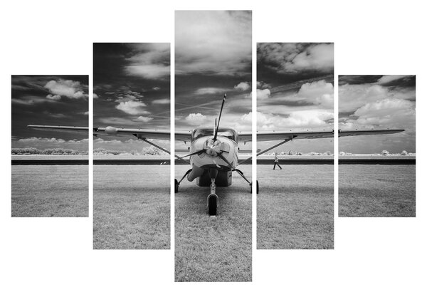Tablou - Avion alb-negru și alb-negru (150x105 cm)
