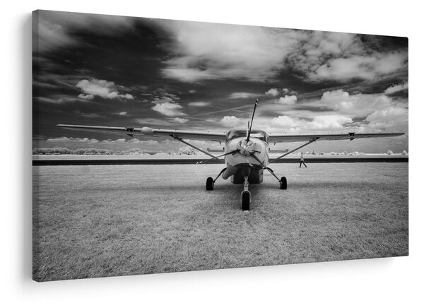 Tablou - Avion alb-negru și alb-negru (90x60 cm)