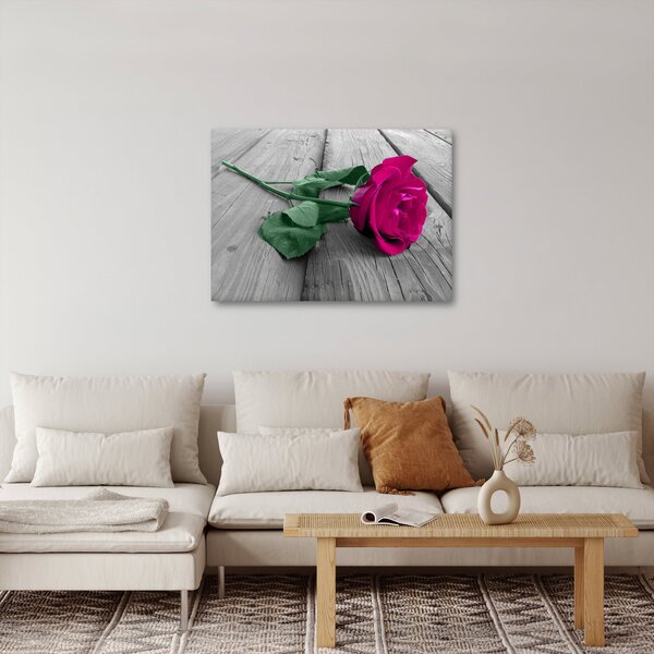Tablou - Trandafir roz cu tulpina verde (70x50 cm)
