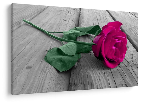Tablou - Trandafir roz cu tulpina verde (90x60 cm)
