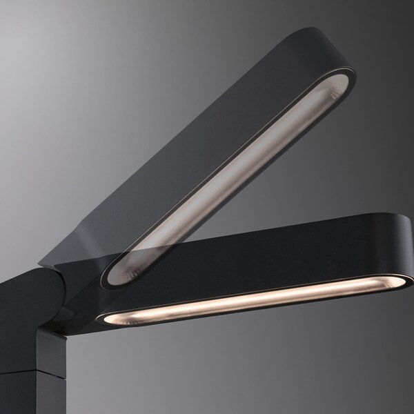 Paulmann Plug & Shine LED Ito bornă luminoasă LED, verticală, IP65, reglabil, Negru, Metal