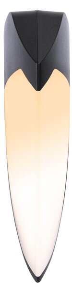 Paulmann Ikosea LED lampă de perete pentru exterior, ZigBee 3.0, reglabil, Negru, Plastic, Modern