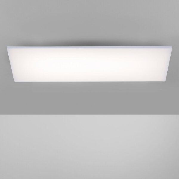 Paul Neuhaus Frameless plafonieră RGBW 60x30cm, reglabil, Alb, Camera de zi / sufragerie, Metal, Modern