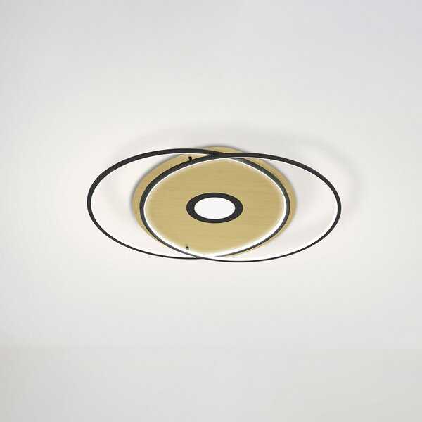 Q-Smart-Home Paul Neuhaus Q-AMIRA plafonieră LED ovală, negru, reglabil, Negru, Camera de zi / sufragerie, Metal, Modern