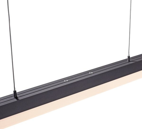 Paul Neuhaus Sina lampă suspendată LED CCT Touch, reglabil, Negru, Camera de zi / sufragerie, Metal, Modern