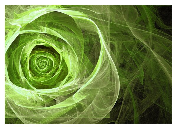Tablou - Abstract Rose Green (70x50 cm)