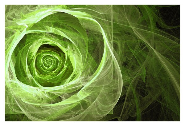 Tablou - Abstract Rose Green (90x60 cm)
