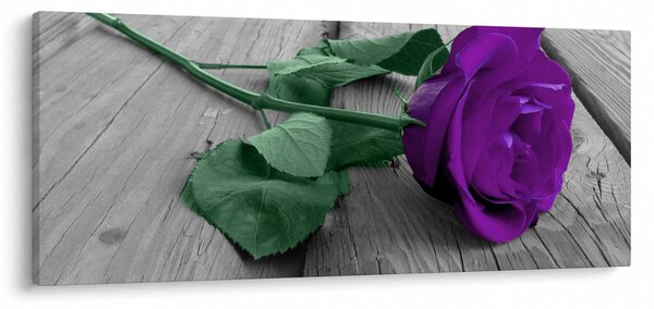 Tablou - Trandafir violet cu tulpina verde (120x50 cm)