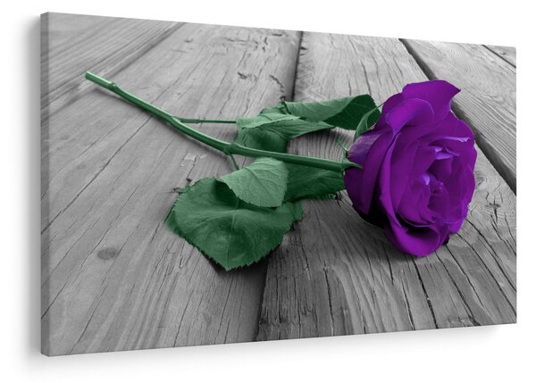Tablou - Trandafir violet cu tulpina verde (90x60 cm)
