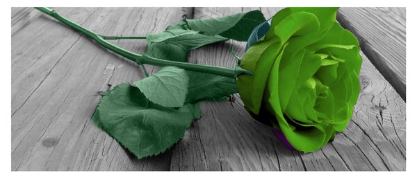 Tablou - Trandafir verde (120x50 cm)