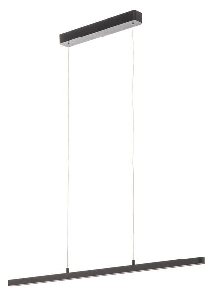 Lustră Pendul Paulmann, Lento, reglabil, Negru, Camera de zi, Metal, Modern