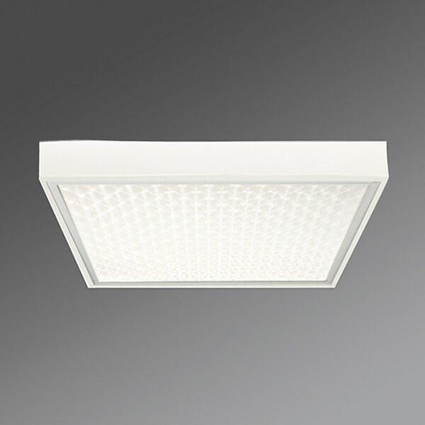 Regiolux Plafonieră de birou Protection-PRAMP 660 BAP, Alb, Studiu / Birou, Metal