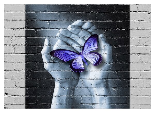 Tablou - Fluture violet pe perete (70x50 cm)