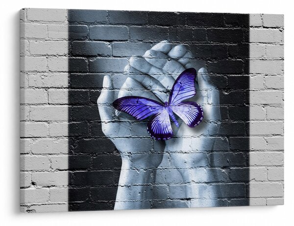 Tablou - Fluture violet pe perete (70x50 cm)