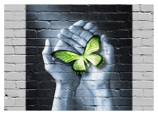 Tablou - Fluture verde în perete (70x50 cm)