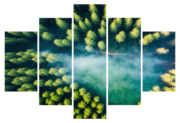 Tablou - O pădure învăluită în ceață (150x105 cm)