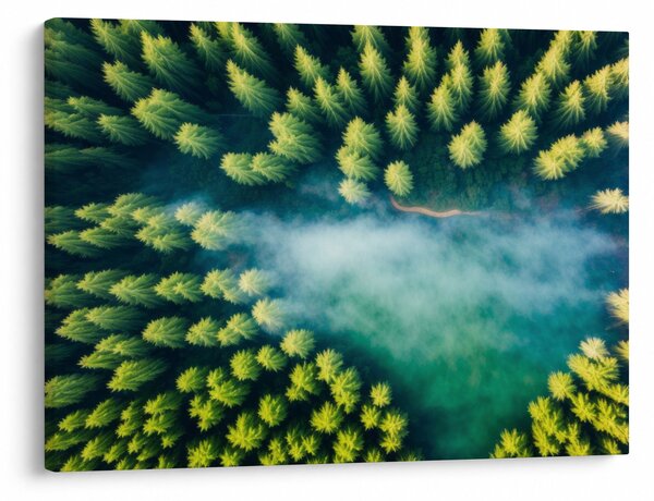 Tablou - O pădure învăluită în ceață (70x50 cm)