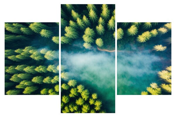 Tablou - O pădure învăluită în ceață (90x60 cm)