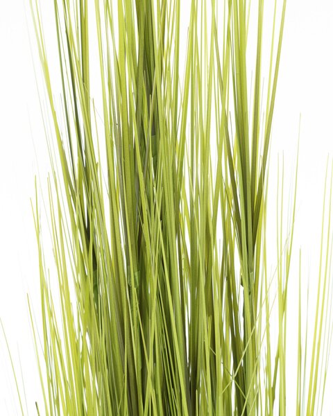 Larbă decorativă Grass 120 cm