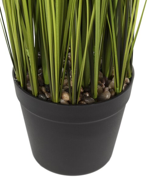 Larbă decorativă Grass 120 cm