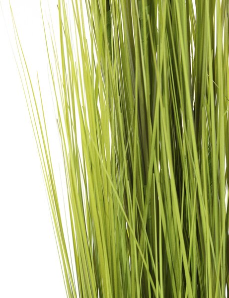 Larbă decorativă Grass 120 cm