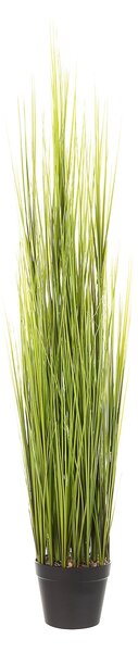 Larbă decorativă Grass 120 cm
