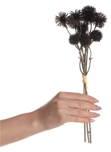 Buchet de Krapsedia 30cm black
