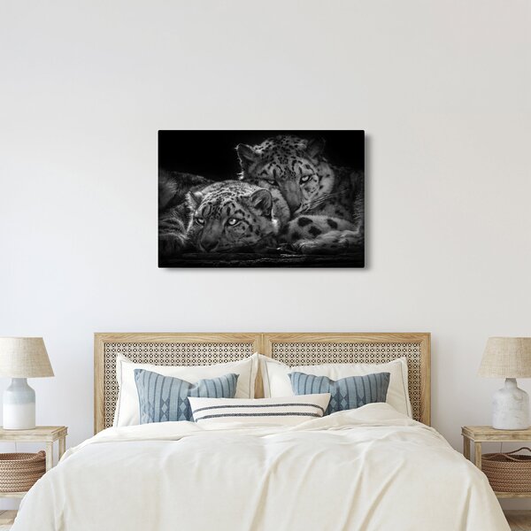 Tablou - Gheparzi care se odihnesc (90x60 cm)