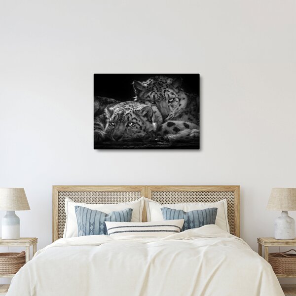 Tablou - Gheparzi care se odihnesc (70x50 cm)