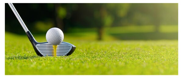 Tablou - Golf (120x50 cm)