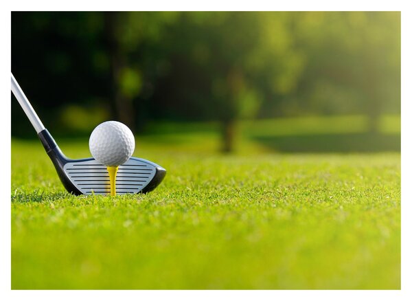 Tablou - Golf (70x50 cm)