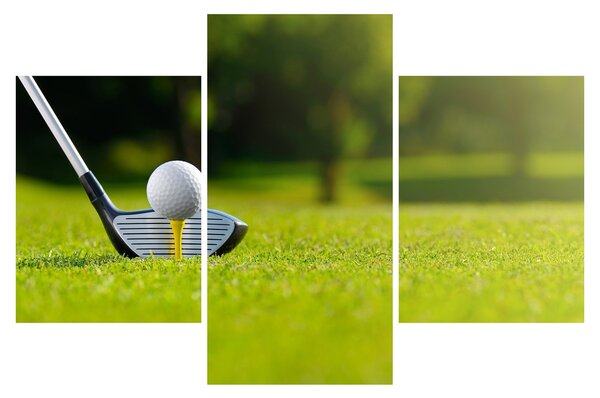 Tablou - Golf (90x60 cm)