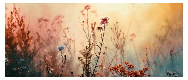 Tablou - Flori sălbatice (120x50 cm)