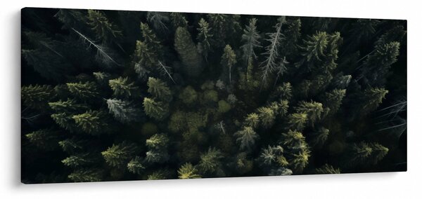 Tablou - Pădure (120x50 cm)