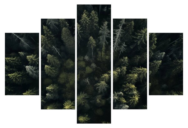 Tablou - Pădure (150x105 cm)