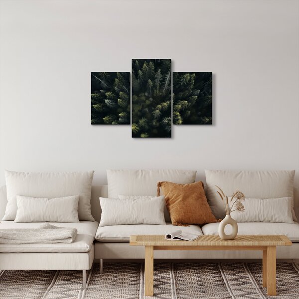 Tablou - Pădure (90x60 cm)