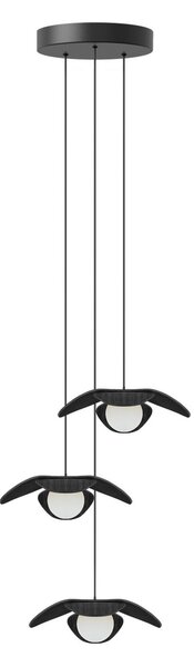 UMAGE Forget Me Not mini pendul 3 becuri, stejar negru, Negru, Camera de zi / sufragerie, Lemn, Design