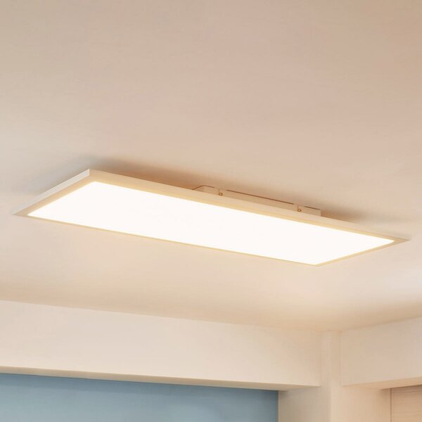 Arcchio Panou LED Enja, 79,5 cm x 29,5 cm, reglabil, Alb, Studiu / Birou, Metal