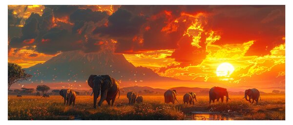 Tablou - Turmă de elefanți (120x50 cm)