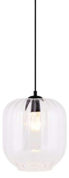Lustră Pendul Globen Lighting, Transparent, Sala de mese, Sticlă