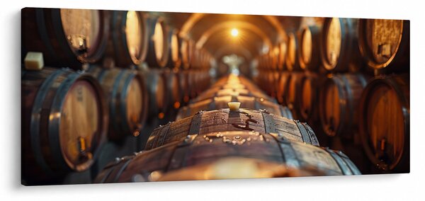 Tablou - Pivniță de vinuri (120x50 cm)