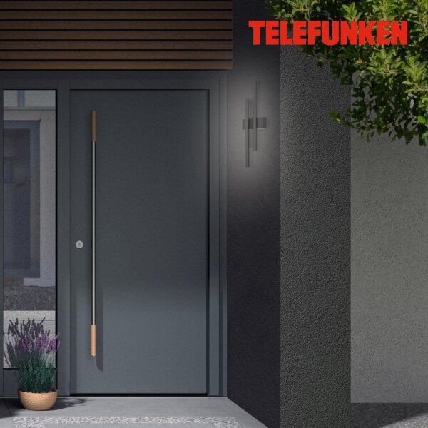Telefunken 313205TF - Aplica de perete LED pentru exterior 2xLED/4W/230V 4000K IP44